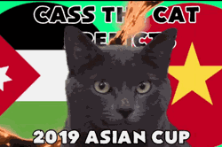 Việt Nam vs Jordan Asian Cup: Mèo Cass dự báo đội chiến thắng