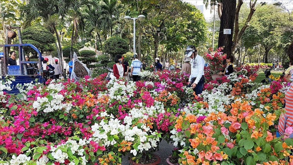 Nhiều người dân đã đến các chợ hoa Tết khiến không khí Tết bắt đầu sôi động. Ảnh: T.S Nhiều người dân đã đến các chợ hoa Tết khiến không khí Tết bắt đầu sôi động. Ảnh: T.S
