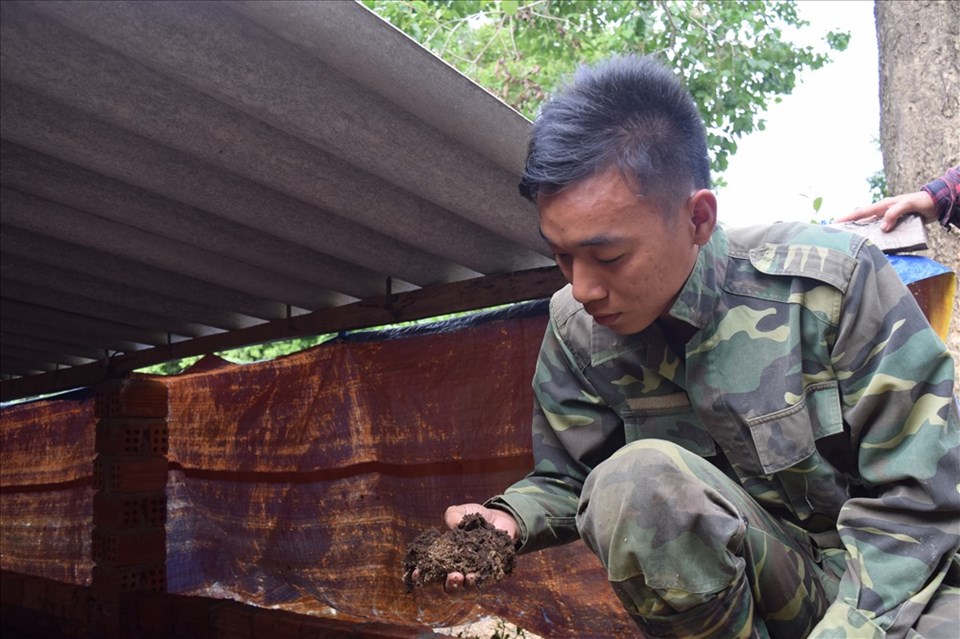 Mạnh dạn khởi nghiệp trên quê hương, Lê Sơn Quân đã thành công và lan tỏa phong trào làm giàu mạnh mẽ. Ảnh: Đ.V Mạnh dạn khởi nghiệp trên quê hương, Lê Sơn Quân đã thành công và lan tỏa phong trào làm giàu mạnh mẽ. Ảnh: Đ.V