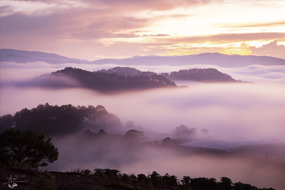 15 điểm săn mây ở Đà Lạt view đẹp ngắm cảnh lãng mạn
