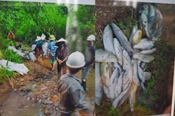 Những khu vực nào của Hà Nội đang sử dụng nguồn nước sông Đà?