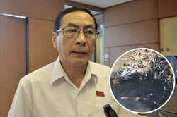 Vụ nước sinh hoạt bị ô nhiễm ở Hà Nội: "Vào cuộc chậm, coi thường dân"