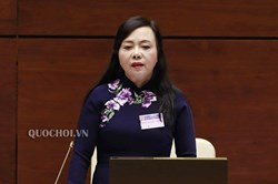 Quốc hội trả lời về việc miễn nhiệm Bộ trưởng Nguyễn Thị Kim Tiến
