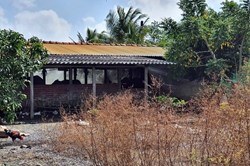 Chuồng lợn bỏ hoang, nông dân mỏi mòn chờ hỗ trợ