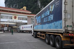 Xe container ùn ở cửa khẩu: Thanh long "nằm" điều hoà, tài xế dãi nắng