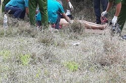 Phát hiện xác phụ nữ loã thể trong rừng ở Ninh Thuận