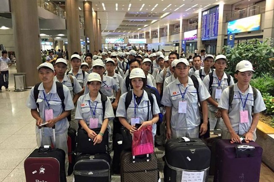 Ảnh minh họa. Ảnh Dolab