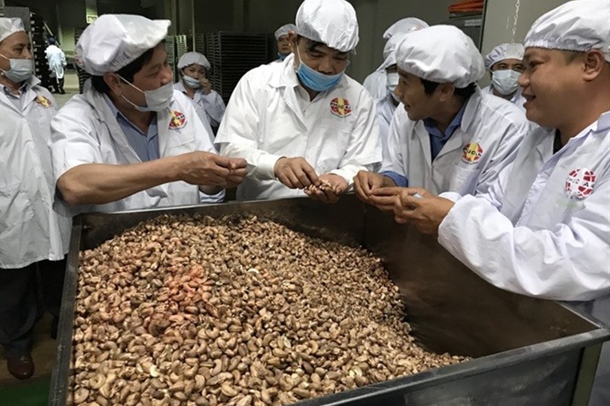 Lãnh đạo Bộ NN-PTNT tham quan một nhà máy chế biến điều ở tỉnh Bình Phước. Ảnh: B.P