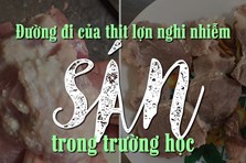 Longform: Đường đi của thịt lợn nghi nhiễm sán trong trường học