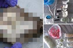 Nóng nhất hôm nay: Băng đảng Anh dùng chuột chết chuyển ma túy vào tù