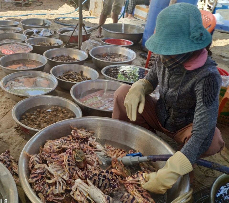 Hải sản rất tươi Hải sản rất tươi