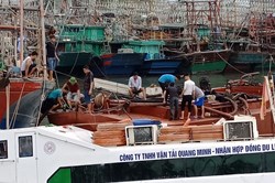 Thuyền viên ngủ quên, tàu chở khách du lịch tự đắm tại cảng Cái Rồng