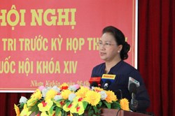 Cử tri "phàn nàn" với Chủ tịch Quốc hội về giá xăng, giá điện