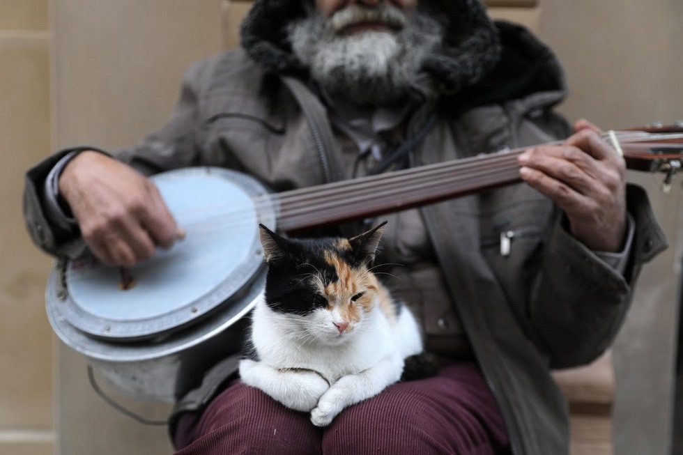 Những người dân nơi đây coi mèo như một phần không thể thiếu của cuộc sống. Ảnh: Reuters