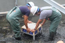 Mục sở thị "bảo bối thép" được lắp thêm để làm sạch bùn sông Tô Lịch