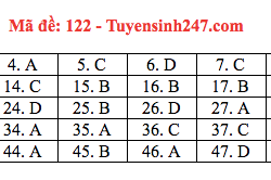 Đáp án môn Toán mã 122 thi THPT quốc gia 2019