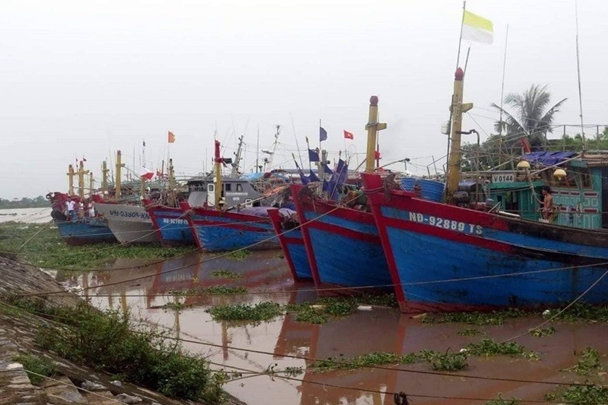 Các địa phương ven biển phía Bắc đồng loạt cấm biển cac dia phuong ven bien phia bac dong loat cam bien