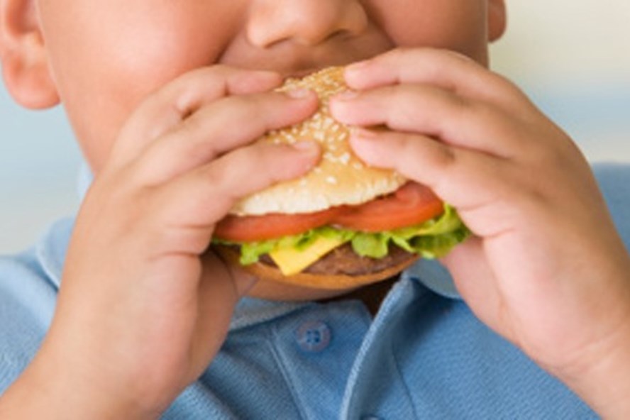 Tình trạng trẻ em bị thừa cân nhưng vẫn thiếu chất dinh dưỡng  đang gia tăng. Ảnh minh họa: B.H