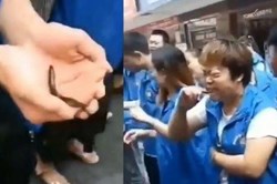Nóng nhất hôm nay: Nhân viên bị bắt ăn cá sống vì thiếu doanh số bán hàng