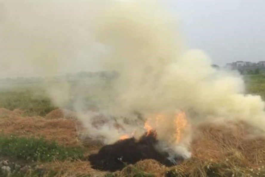 Việc người dân địa phương đã đốt rơm rạ, gây nhiều khói ảnh hưởng đến tầm nhìn của các phi công.