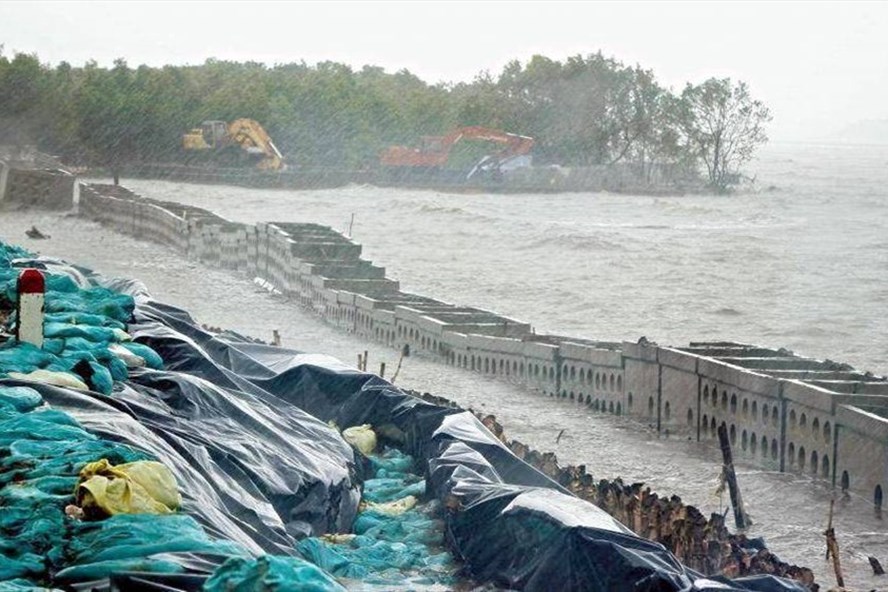 Một đoạn đê biển Cà Mau bị sạt lở nghiêm trọng (ảnh Nhật Hồ)