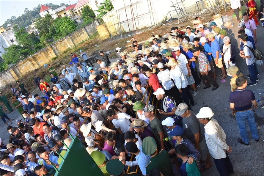 Chọi trâu Đồ Sơn (Hải Phòng) 2019: Miễn phí vé vào sân, dòng người đến xem chật kín choi trau do son hai phong 2019 mien phi ve vao san dong nguoi den xem chat kin