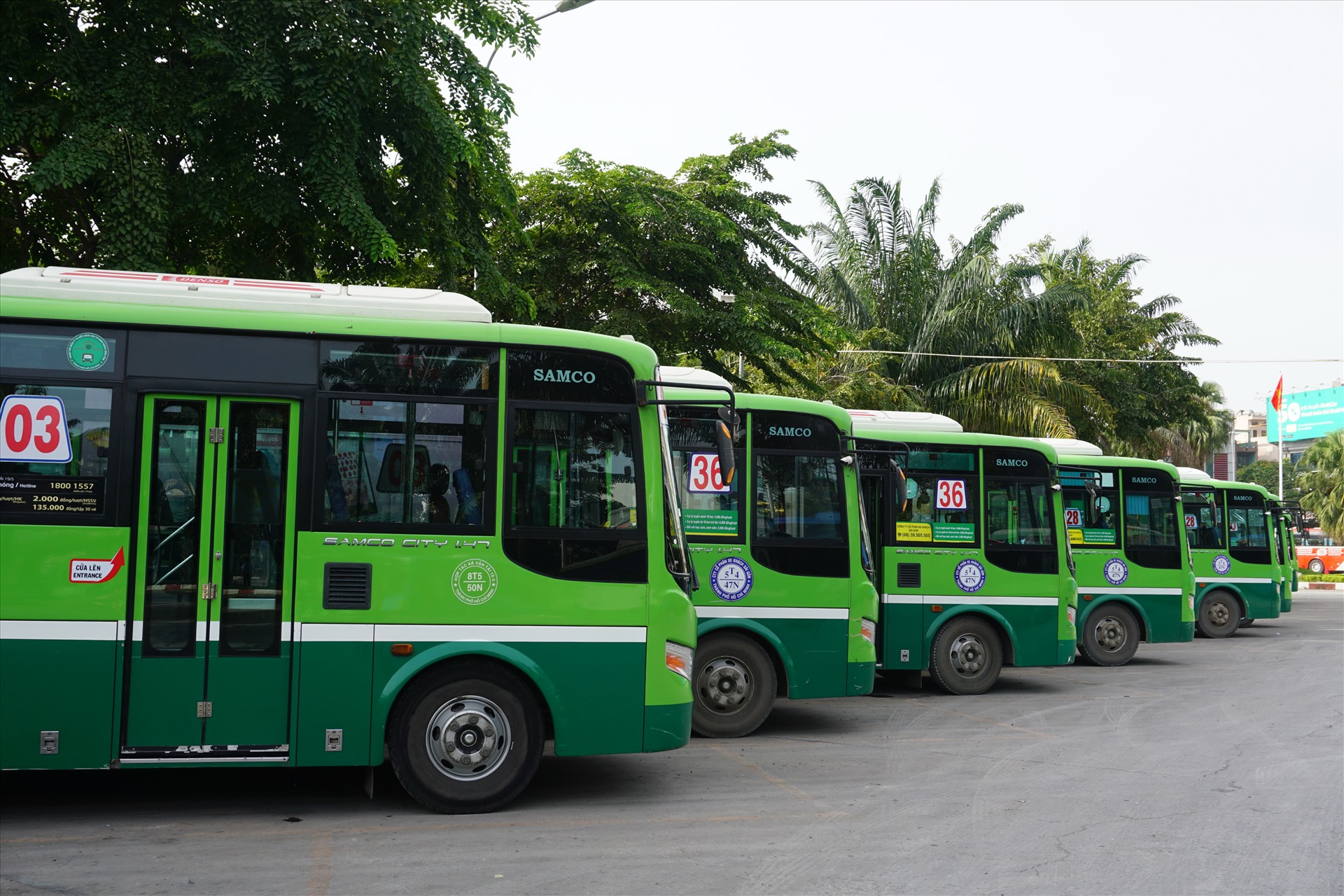 TPHCM đề xuất mở 6 tuyến xe buýt mini dưới 17 chỗ | Lao Động Online ...