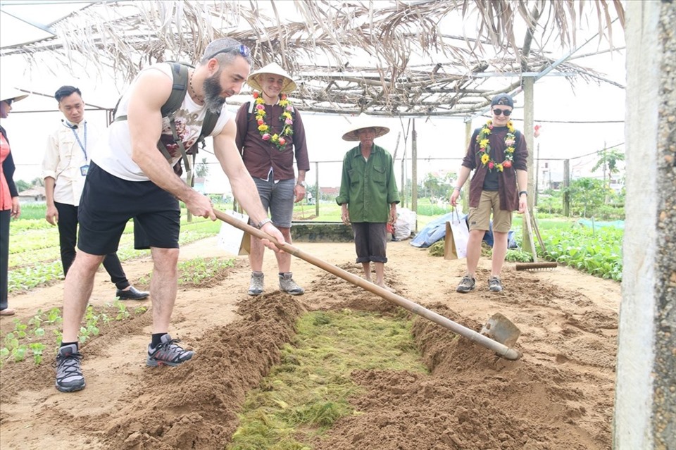 Du khách Ý trải nghiệm trồng rau ở làng rau sạch Trà Quế (TP Hội An, Quảng Nam). Ảnh: Thanh Chung
